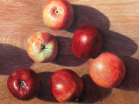 An Apple a Day by Bill Walcott