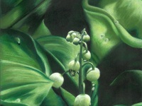 Lily of the Valley by Carol Miller
