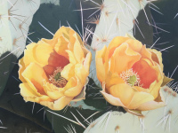 Cactus Flower by Diane Masek-Blow