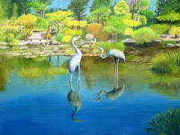 Herons of Shore Acres by Judy Moritz