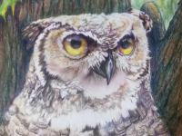 Owl Visions by Katherine McLean