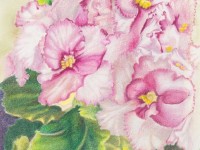 African Violet #1 by Trudy Rolla