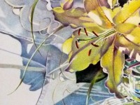 Lily by Barbara Benedetti Newton