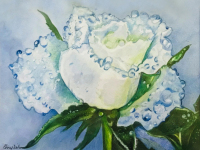 Esthers Rose by Cheryl Wilson