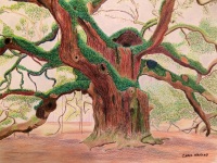 Angel Oak by Chris Hanley