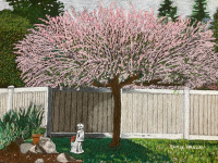 Japanese Willow in Spring by Chris Hanley