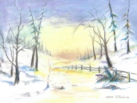 Winter Sunset by Donella Robbins