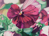 Purple  Pansies by Eleanor Doermann