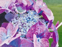 Come Hither by Elizabeth Kincaid