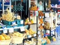 Tarpon Springs by Jan Fagan
