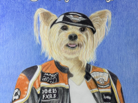 Born to Ride by Jennie Rogers