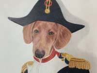 Napoleon Complex by Jennie Rogers