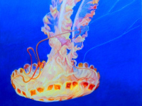 Going With the Flow by Judy Moritz