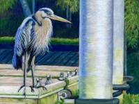 Herons Corner by Judy Moritz