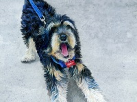 Wanna Play? by Judy Moritz