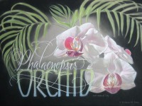 Orchid by Kristen M. Doty