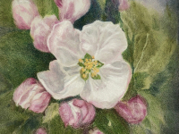 Scent of Apple Pie by Lisa Lau 