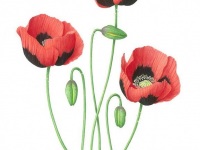 PoppyTrio by Margaret Trent