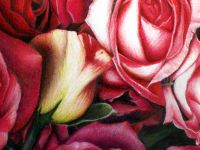 Petal Talk