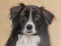 Bentley by Mary Foote