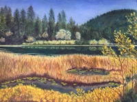 Golden Afternoon by Michaelinda Kaestner