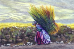 To Market by Pamela Belcher