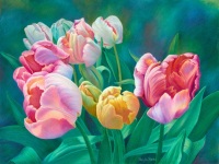 Signs of Spring by Paula Parks