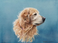 Hunter by Rhonda Gardner