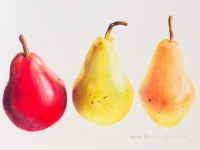Three Pears by Rhonda Gardner