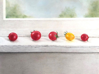 Sill Life by Ronda Gardner