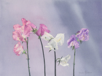 Sweet Peas by Rhonda Gardner