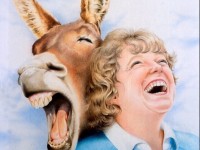 Cracking Up by Sheila Theodoratos