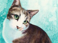 Gracie by Sheila Theodoratos