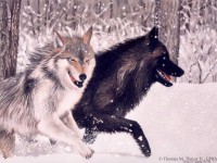 Hunters at Play by Thomas M. Thayer Jr.