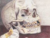Bone White by Trudy Rolla