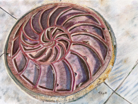 Beauty Underfoot by Trudy Rolla